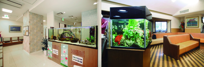 アクアリウムセラピー