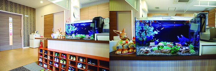 アクアリウムセラピー