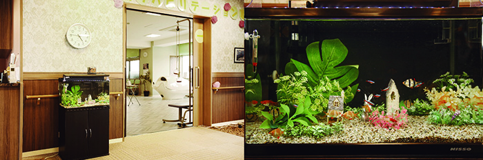 アクアリウムセラピー