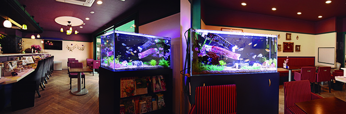 アクアリウムセラピー