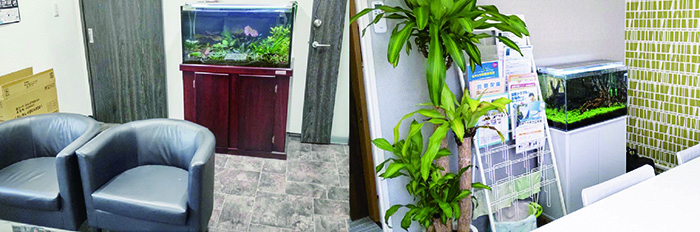 アクアリウムセラピー