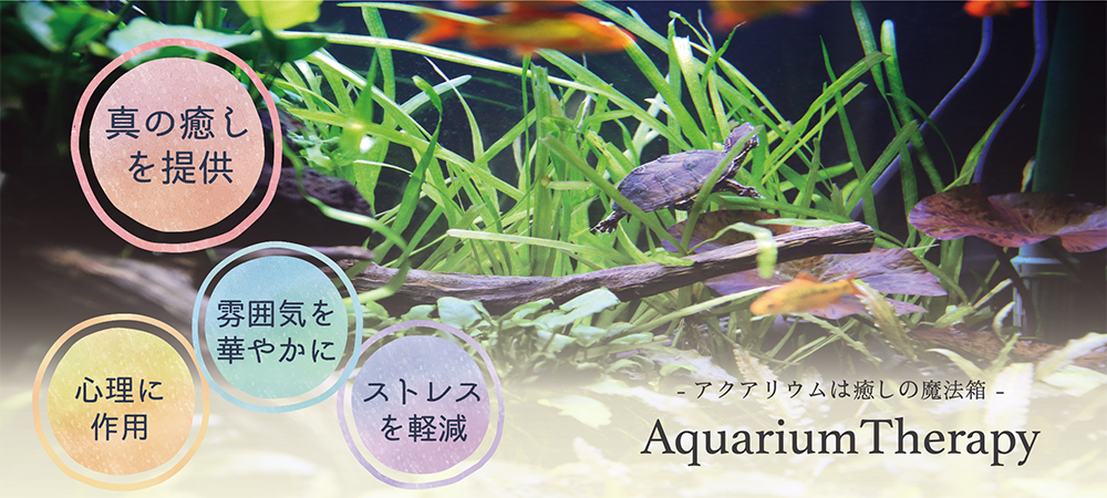 アクアリウムセラピー